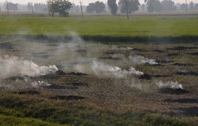 There is a visible reduction in the volume of post-harvest stubble-burning in Punjab and Haryana this year owing to the promotion of farm machinery backed by financial assistance by government and awareness programmes. (Photo: IANS)