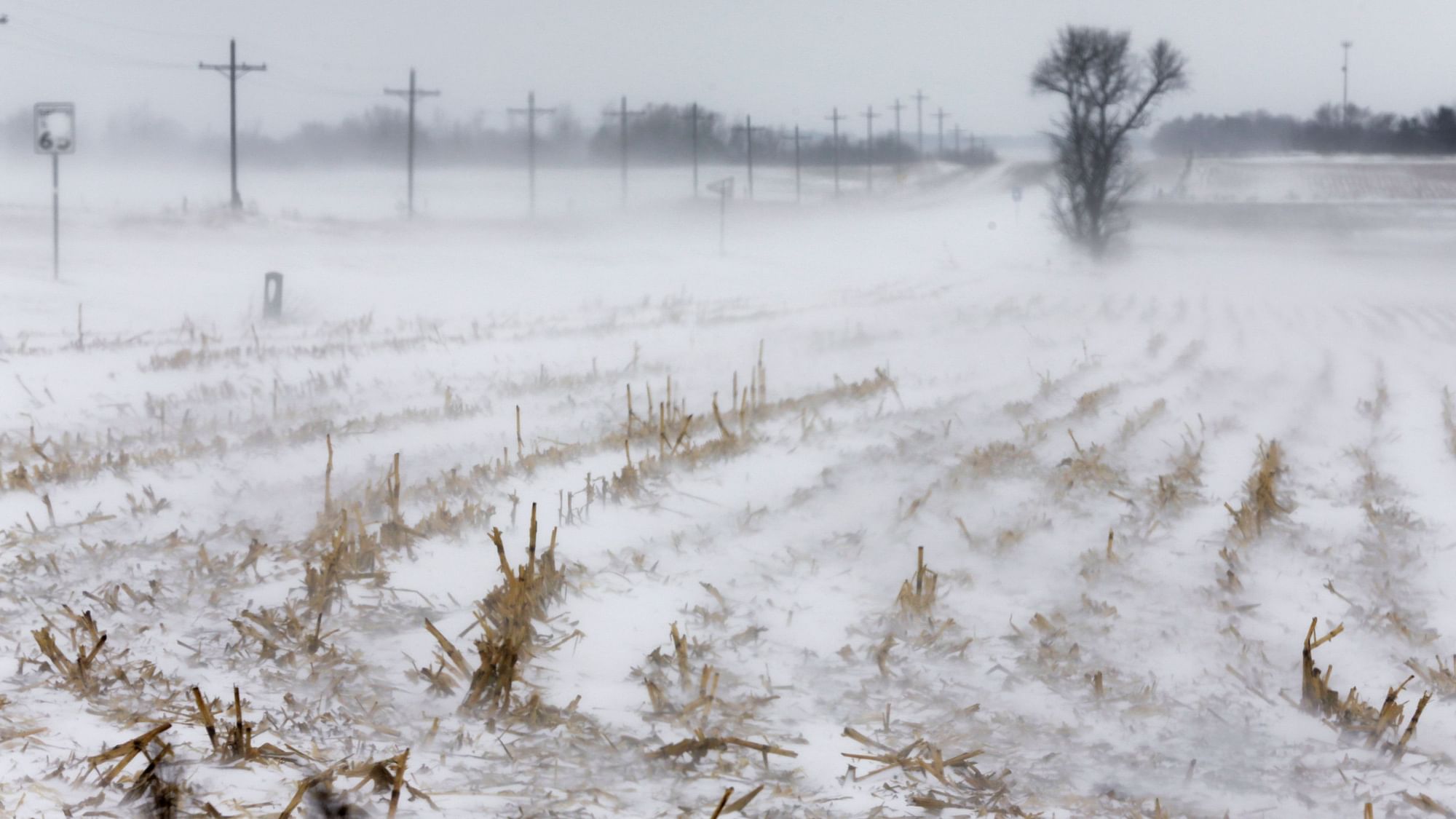 Rows of corn stalks stand in blowing snow north of Nebraska City, on Sunday, 25 November 2018.