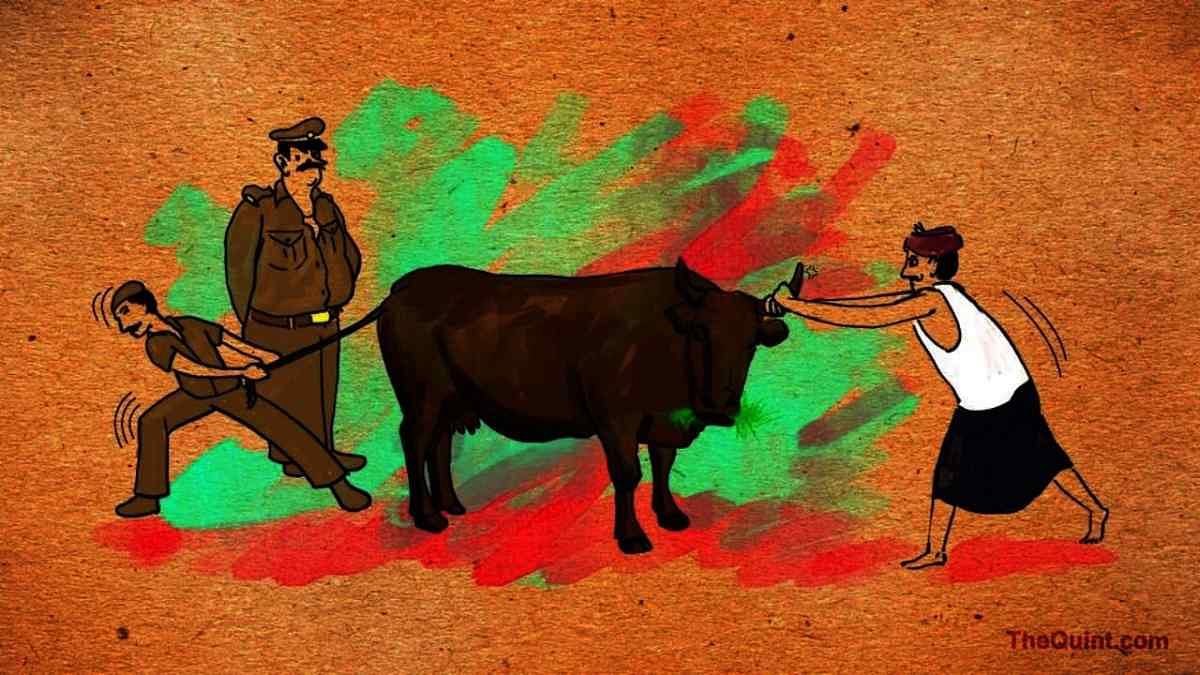 Across India, 10 people lost their lives in 2018, in 21 attacks carried out by ‘gau rakshaks’. 