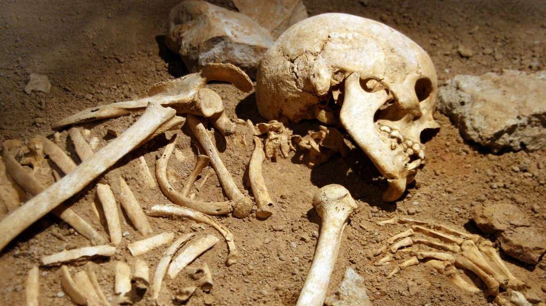 Bone smuggling had been rampant in India for decades, if not centuries. 
