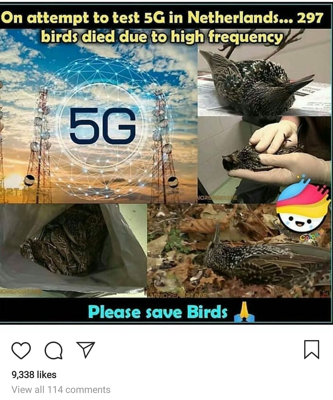 297 Birds Did Not Die Because of a 5G Experiment in Netherlands