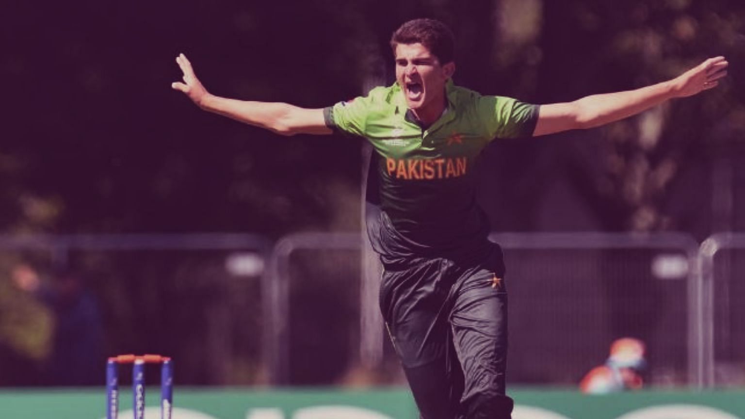 File photo of Shaheen Afridi from the Under-19 World Cup in New Zealand earlier this year.