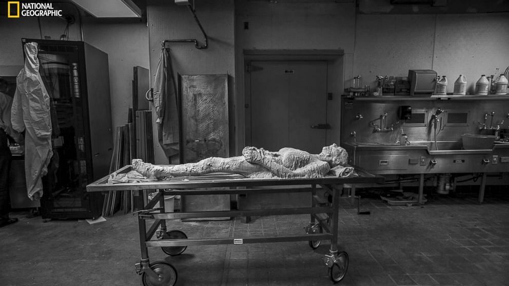 Woman becomes first ‘immortal corpse’ by volunteering her body to be frozen & sliced into 27k pieces for science.