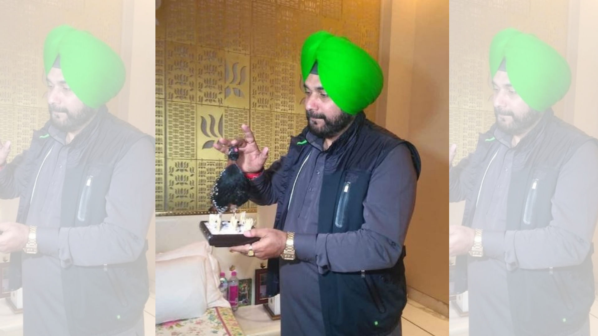 A complaint was registered with the Wildlife Crime Control Bureau (WCCB) against Navjot Singh Sidhu after he brought a stuffed Black Partridge from Pakistan without proper permit.