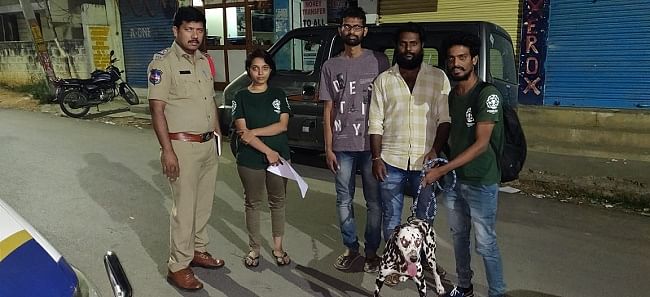 Activists rescued the dog who was abandoned by his owners.