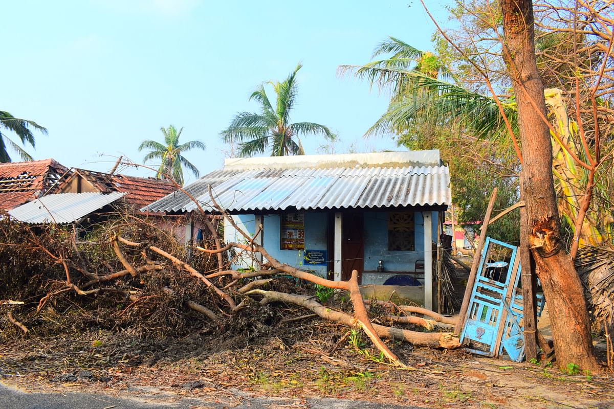 The cyclone was much bigger than anticipated,  and destroyed not just houses  but our livelihoods. 