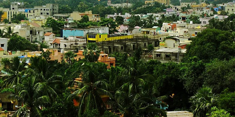 Detailed Project Reports (DPRs) have been prepared for each cluster and the total amount required is Rs 99.50 crore for 16 Urban Forest Blocks.