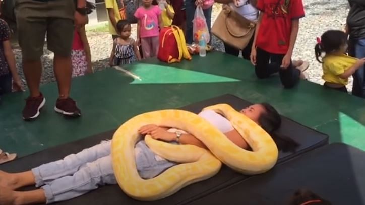 Tourist gets a massage by a giant python in Philippines Zoo.