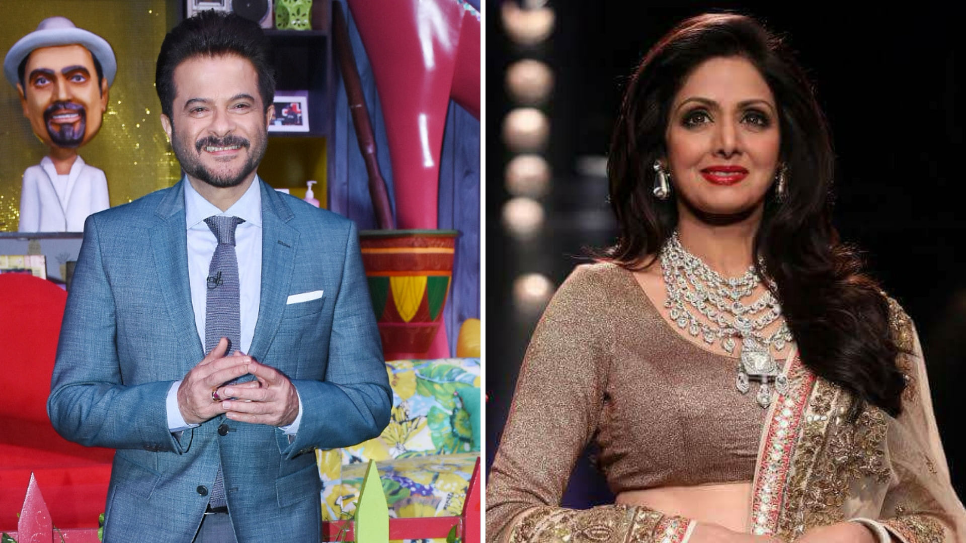 Anil Kapoor co-starred with Sridevi in films like <i>Lamhe</i>.