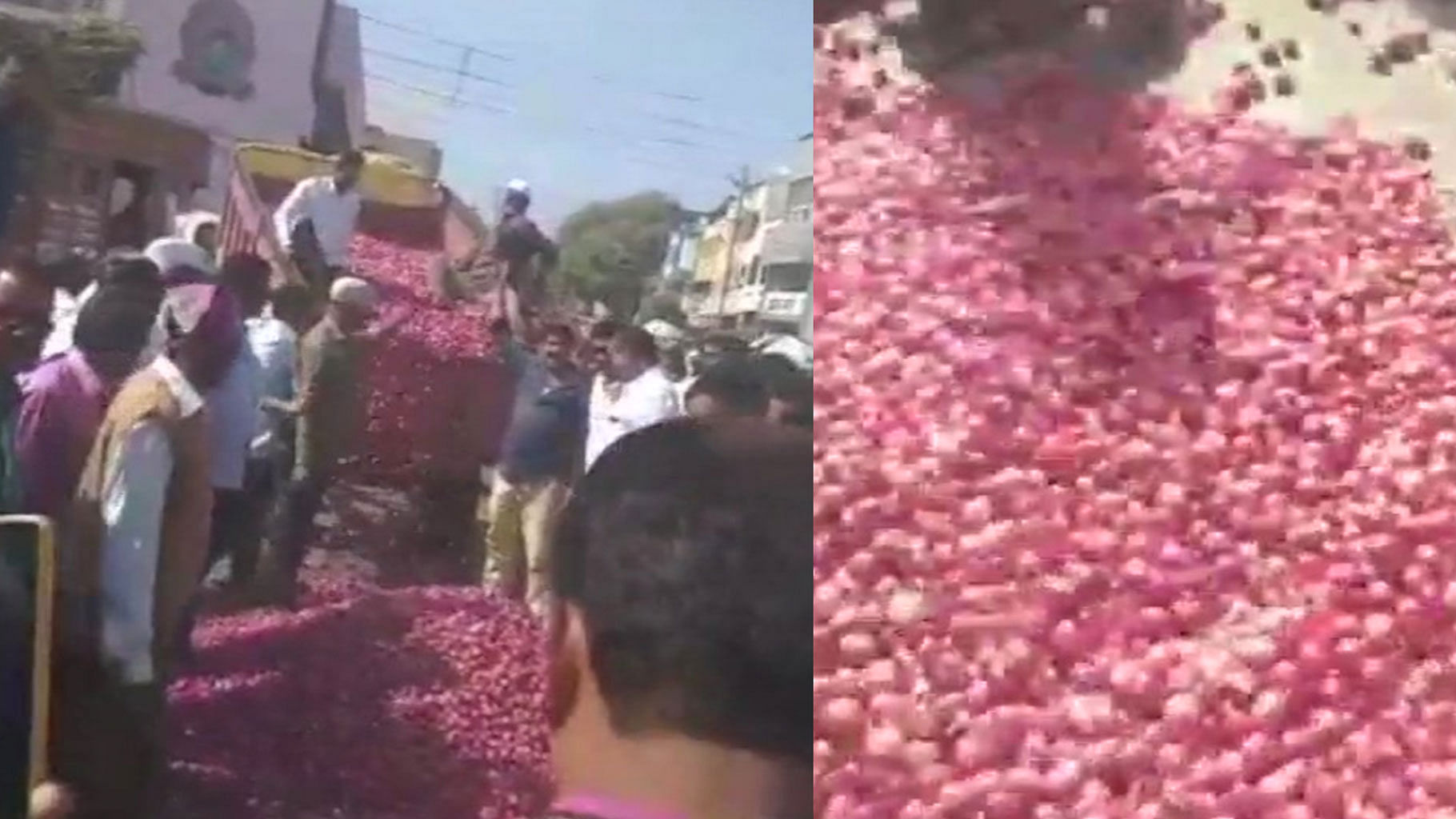 Protesting farmers dump 30 quintals of onion