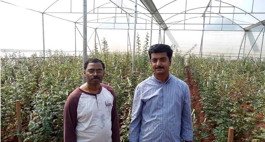 Educated youth such as Srinivasan and Sudeesh have taken up hi-tech farming, cultivating crops under controlled conditions using Israeli technology.