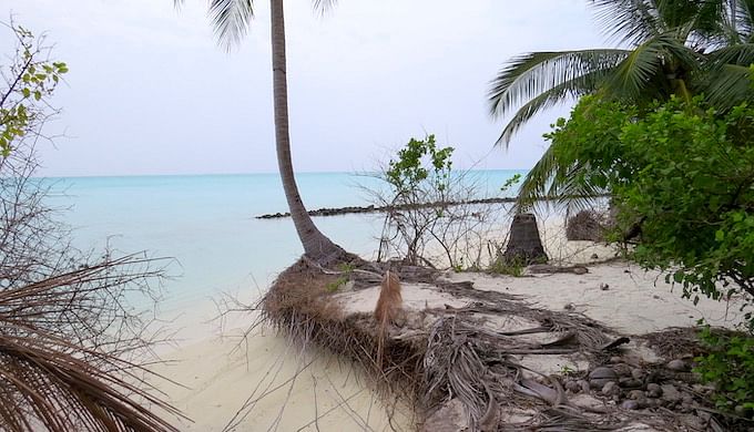 Many islands in the Lakshadweep archipelago are experiencing rapid coastal erosion.