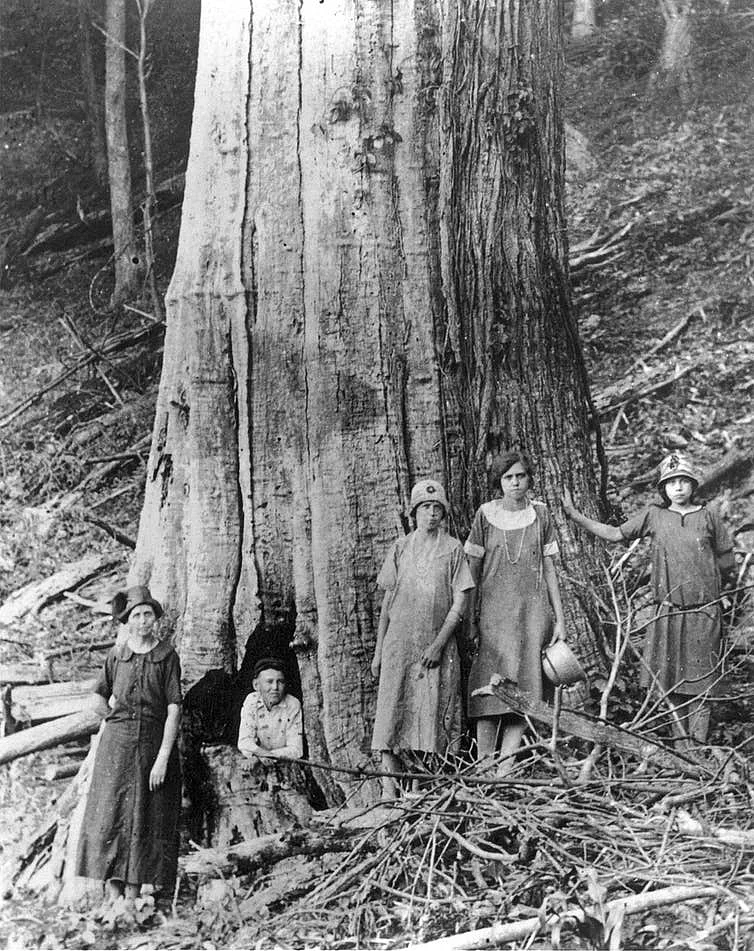 The family of James and Caroline Shelton poses by a large dead chestnut tree in Tremont Falls, Tennessee, circa 1920.