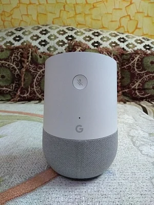 Google launched its voice-activated