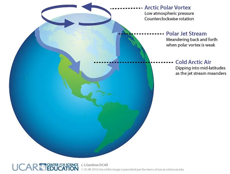 Dark arrows indicate rotation of the polar vortex in the Arctic; light arrows indicate the location of the polar jet stream when meanders form and cold, Arctic air dips down to mid-latitudes.