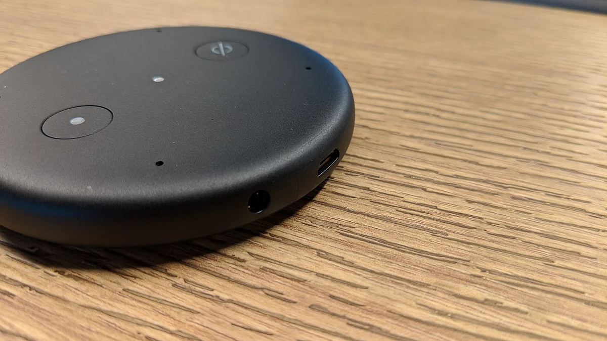 Echo Input gets 3.5-mm audio cable and microUSB 2.0 port. 