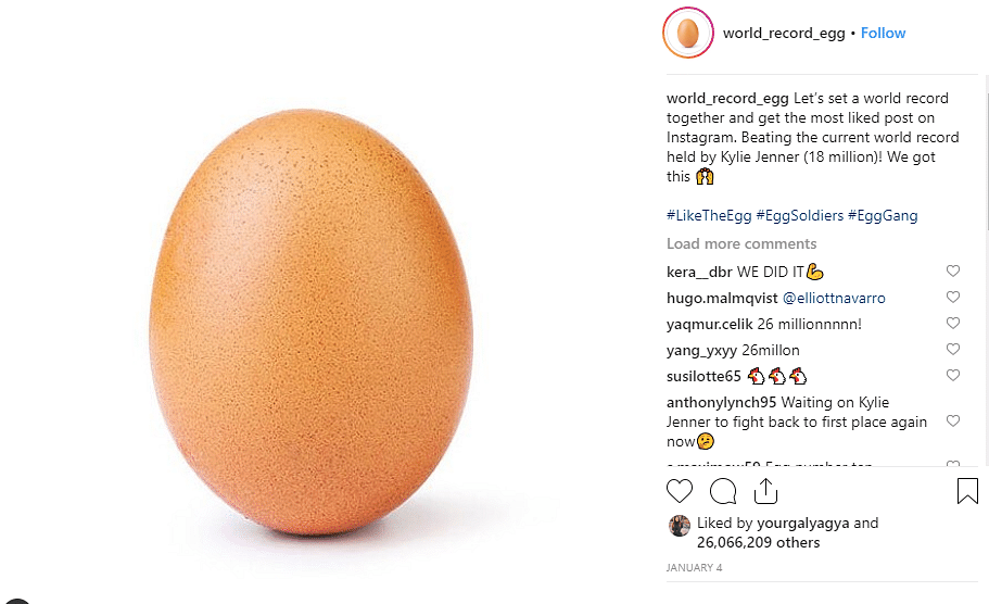 Toodles to the world record egg and how absurd it truly is.