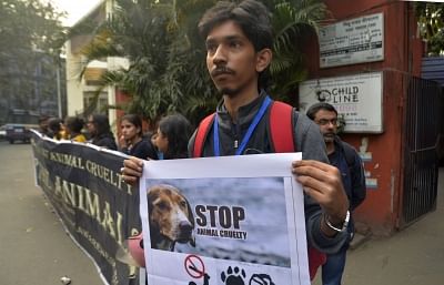 Kolkata: Animal rights activist stage a demonstration after hospital garbage bags containing 16 dead puppies and a dog with signs of severe torture were recovered near Nil Ratan Sircar Medical College & Hospital in Kolkata, on Jan 14, 2019. (Photo: IANS)