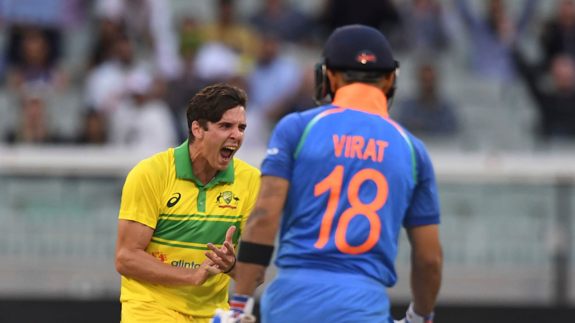 Australia’s Jhye Richardson celebrates the wicket of India’s Virat Kohli during their one day international cricket match in Melbourne. Image used for representation.