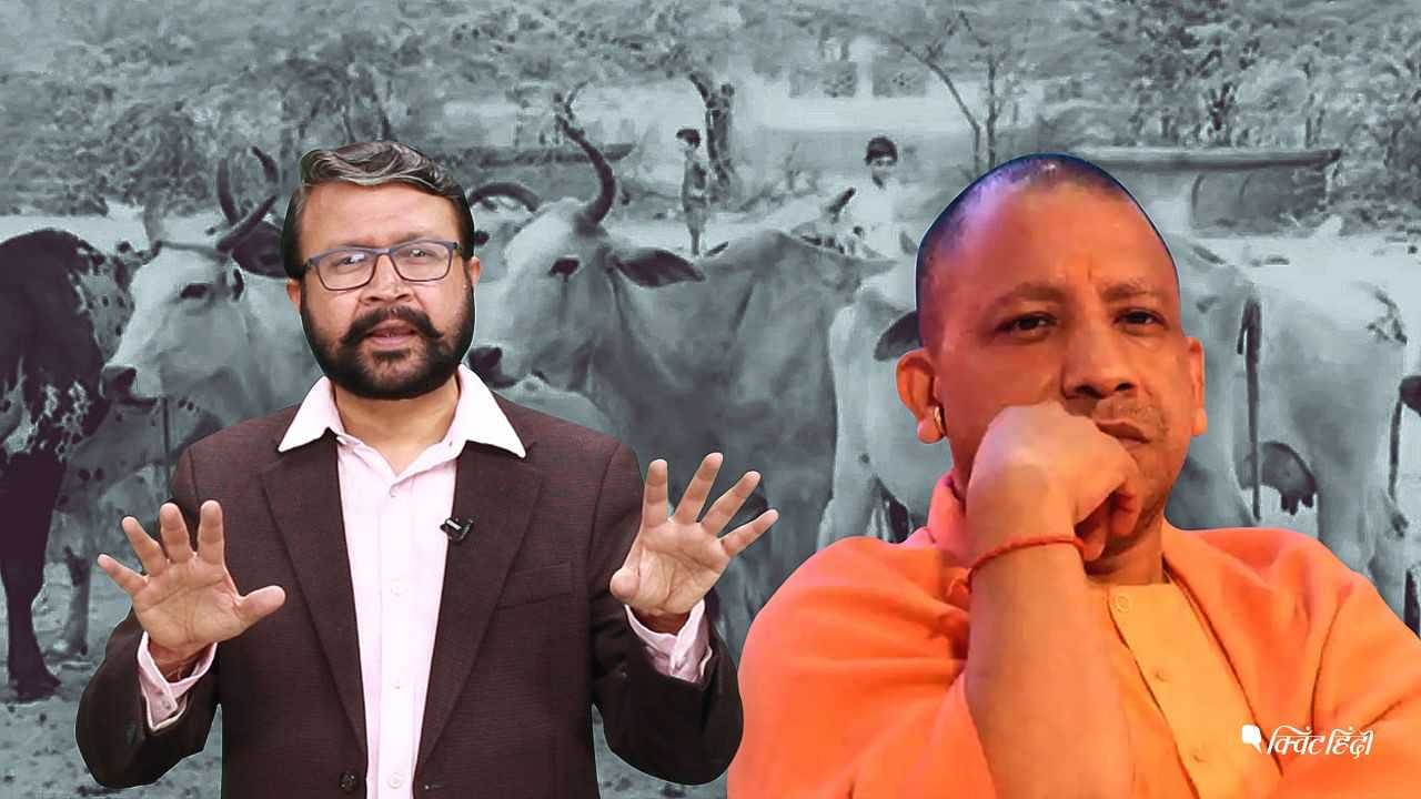 Uttar Pradesh CM Yogi Adityanath’s politics over the holy cow are questionable.&nbsp;