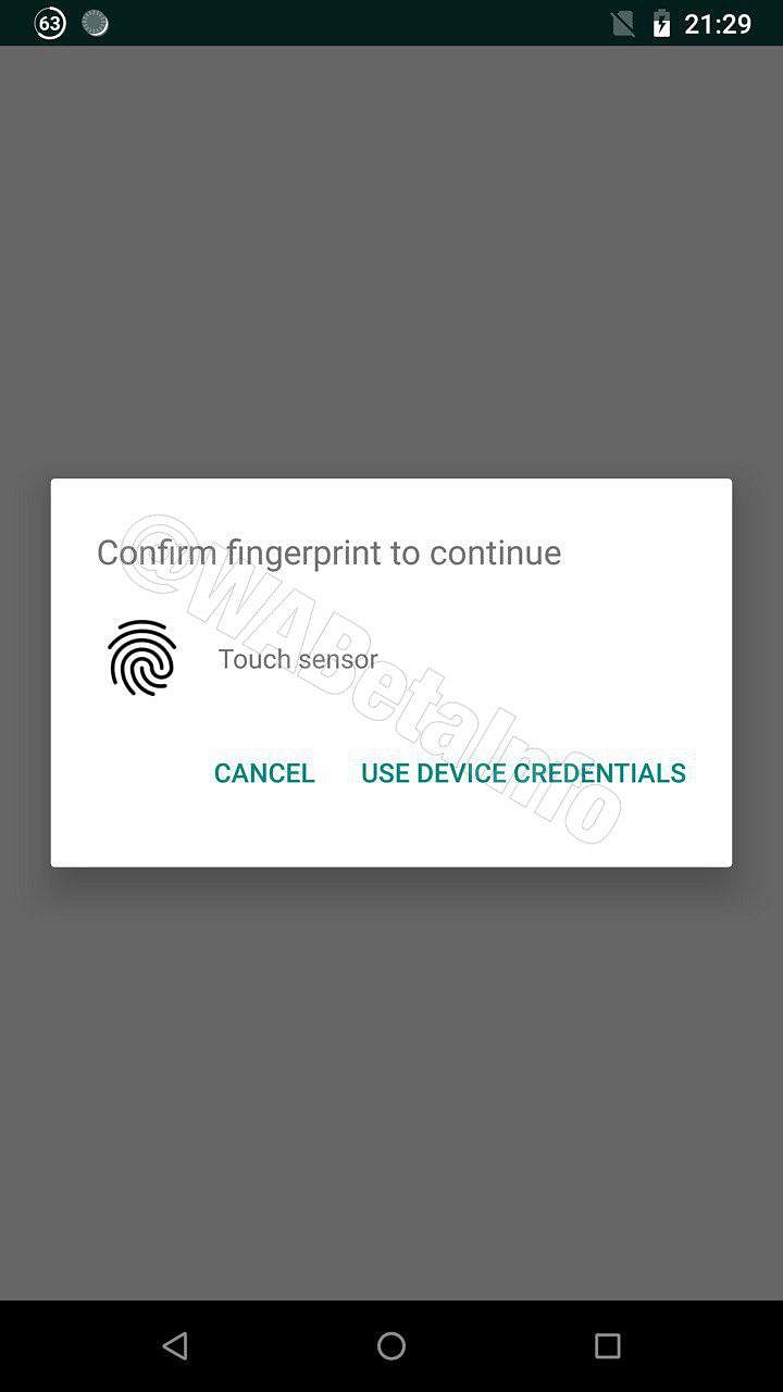 WhatsApp fingerprint sensor update for Android users is likely to be pushed in the coming weeks. 