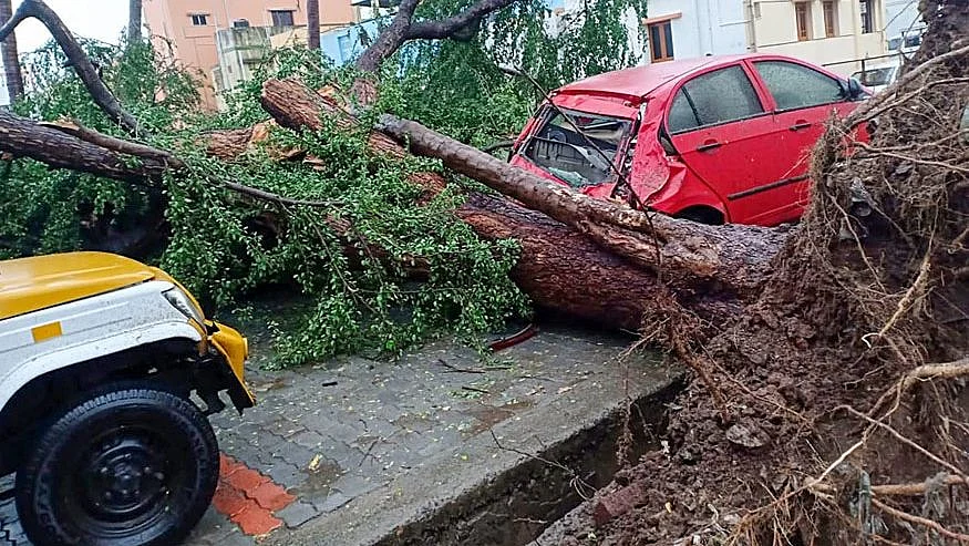 A view of a damaged car after cyclone Gaja hits Kodaikanal. 