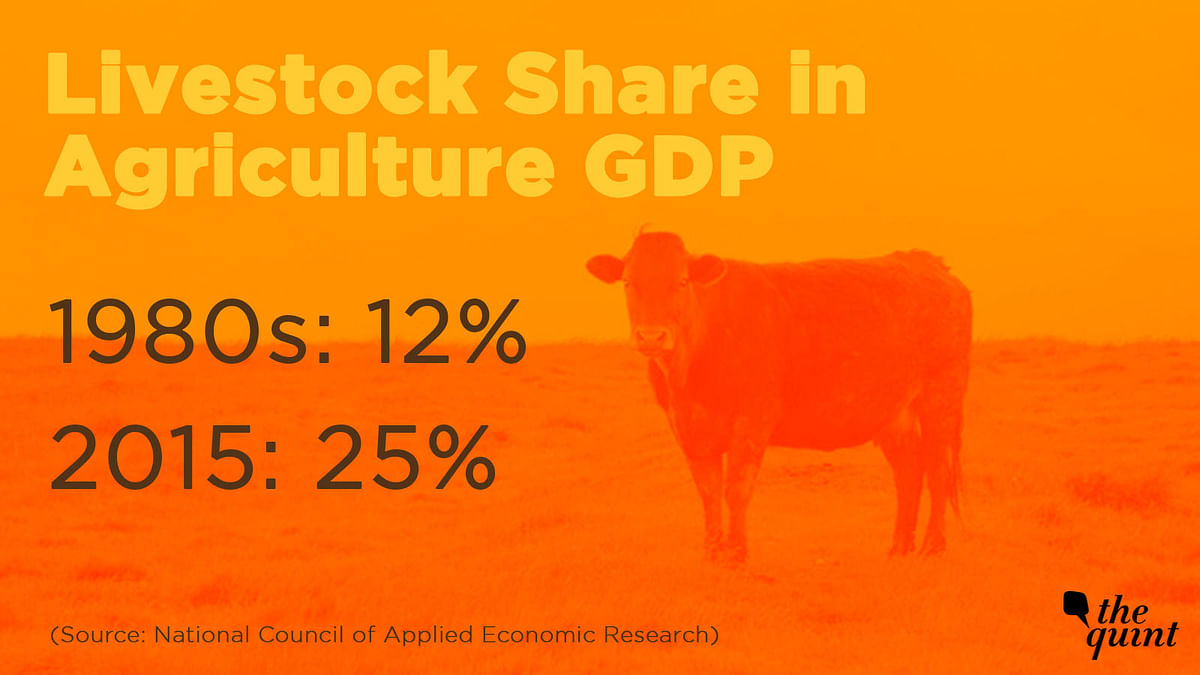 Data shows that the proportion of male in overall livestock population has been consistently falling.