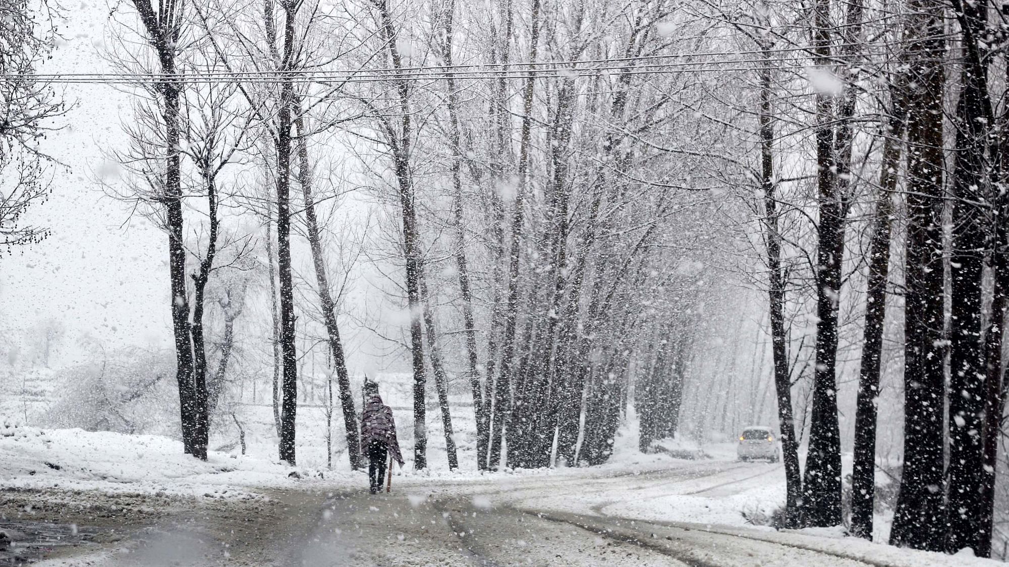 Higher reaches of Kashmir received fresh snowfall.