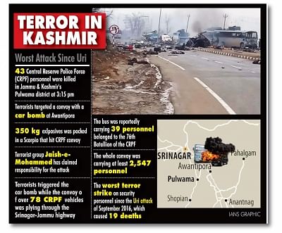 Terror in Kashmir. (IANS Infographics)