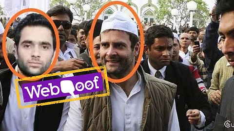Fact Check Fake Picture Of Congress President Rahul Gandhi