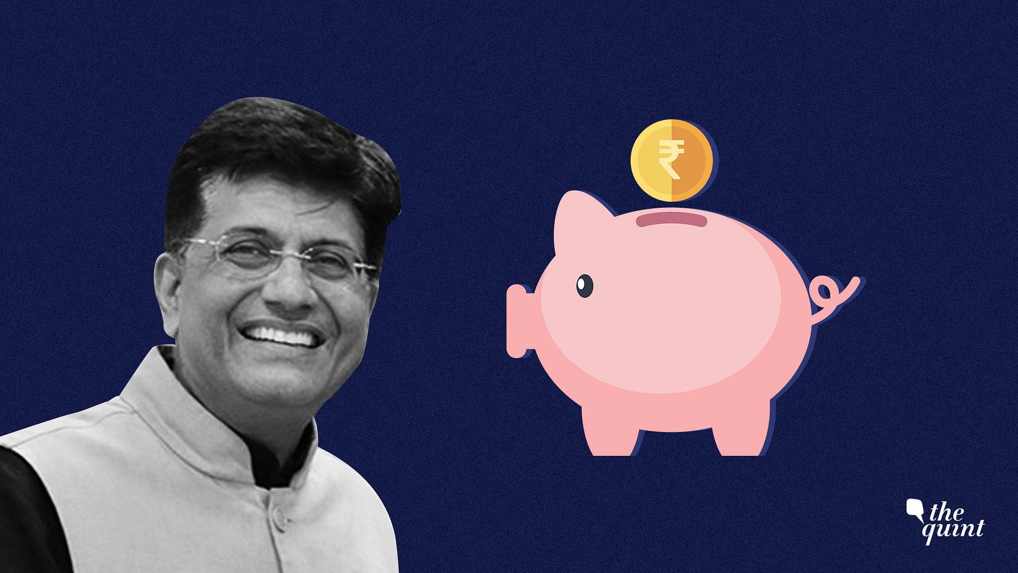 Image of Interim Finance Minister Piyush Goyal used for representational purposes.