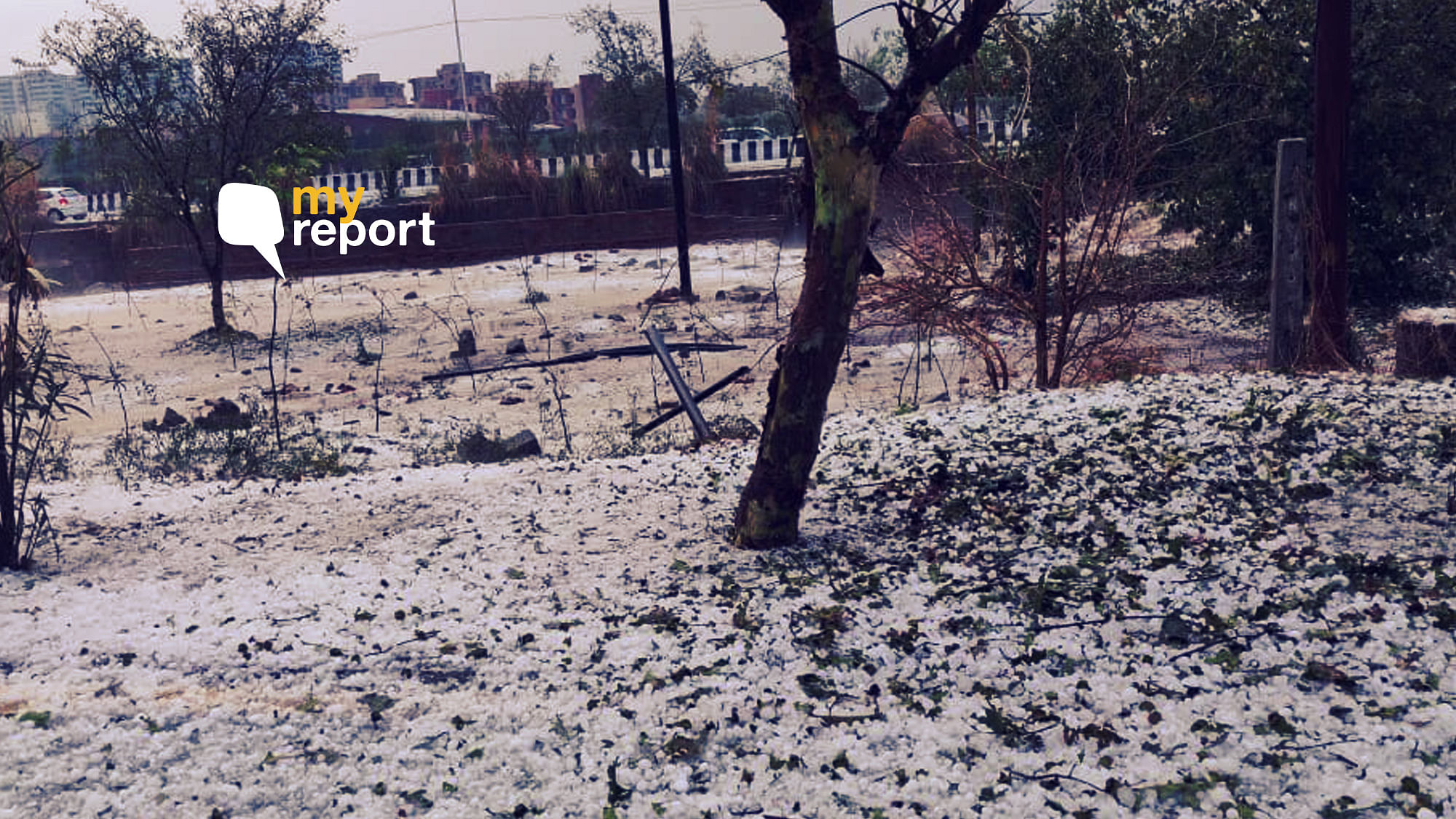 The roads of Delhi, Noida and Faridabad were covered with layers of white snow like hail.
