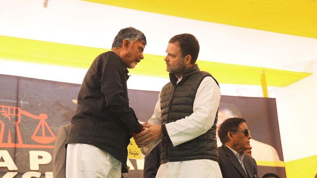 Congress President Rahul Gandhi met N Chandrababu Naidu during his day-long hunger strike demanding special status for Andhra Pradesh.