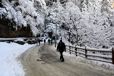 Snowfall in Shimla.  (File Photo: IANS)