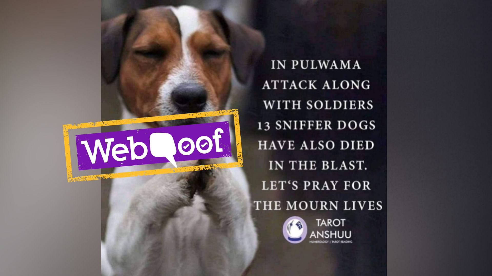 A CRPF official confirmed to The Quint that no sniffer dogs were involved as casualties in the attack.