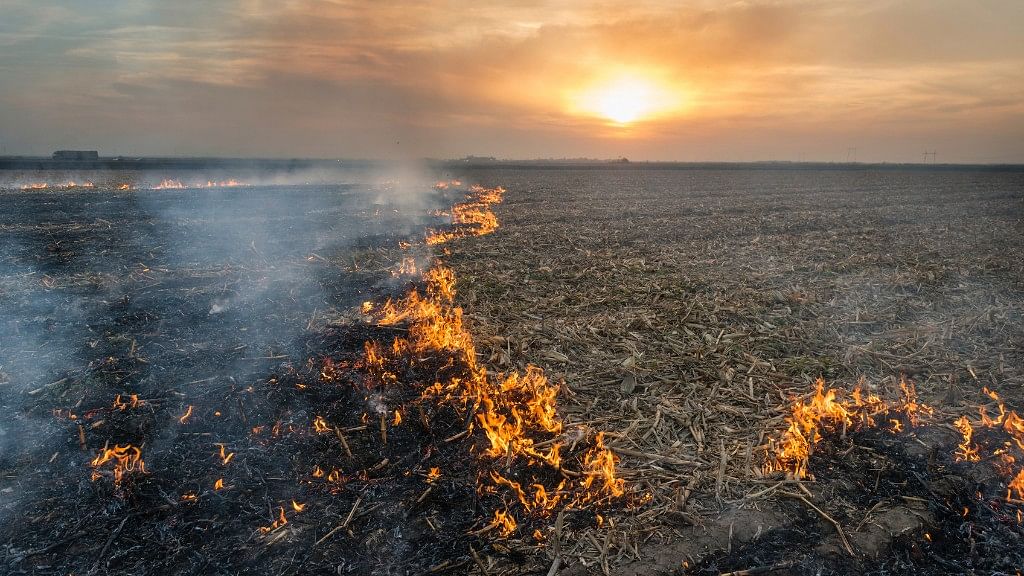 Image of stubble burning used for representational purposes.