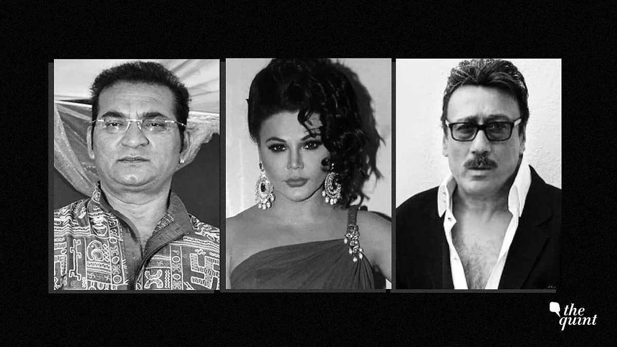 Cobrapost Says Celebs Agreed to Promote Political Parties for Cash