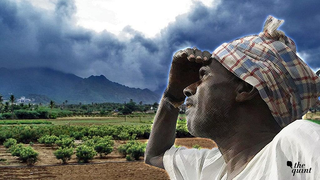 ‘Do Hectare Zameen’– The Life of the Indian ‘Marginal’ Farmer