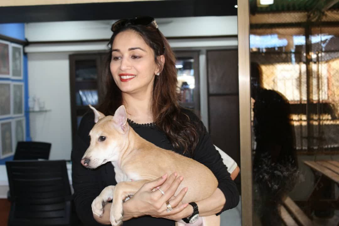 Madhuri Dixit Nene welcomes new member other family & other news.