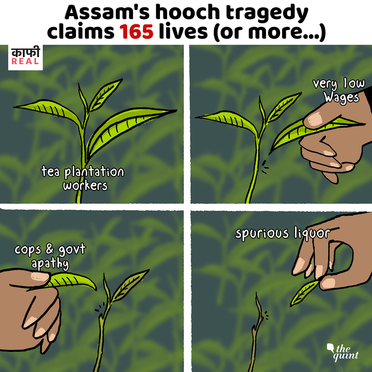 At least 165 people died after allegedly consuming illicit liquor in Assam’s Golaghat and Jorhat districts.