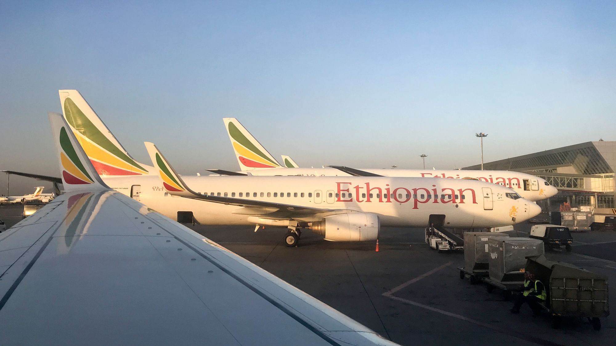 Image of Ethiopian Airlines Boeing 737-800 parked at Bole International Airport in Addis Ababa, Ethiopia.&nbsp;