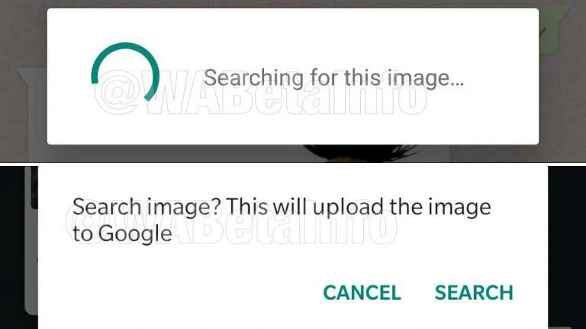 Image will be searched on the web.