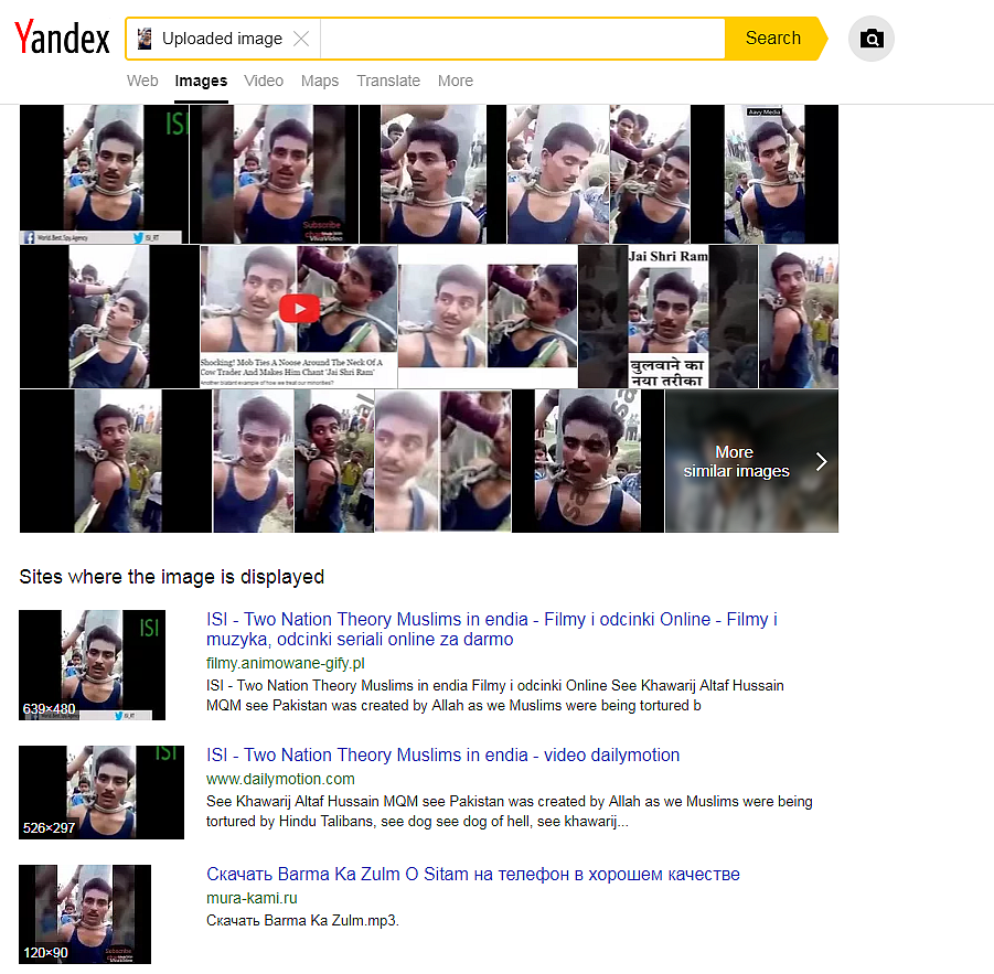 Screenshot of the reverse image search.