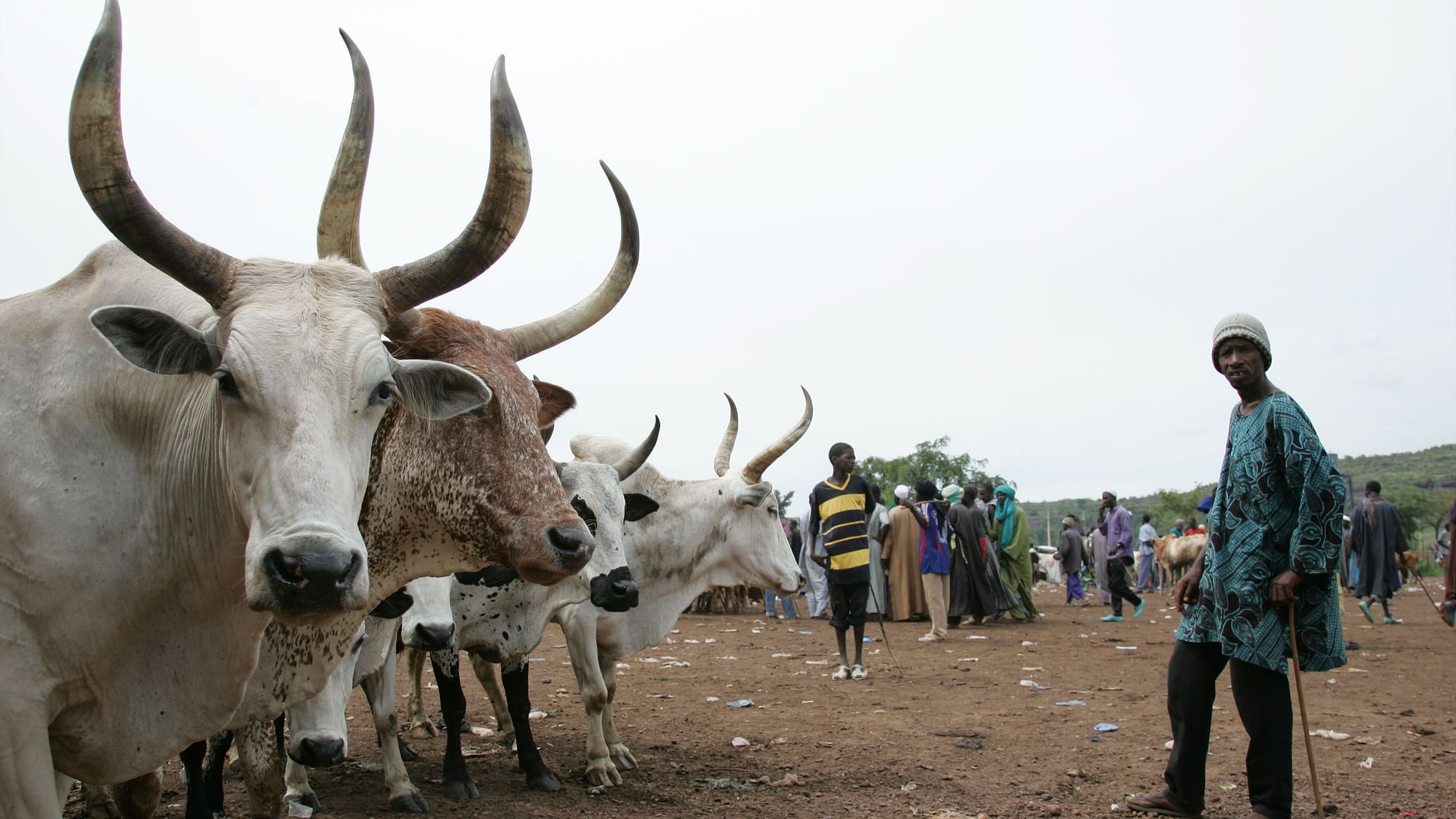 Nigeria is in the middle of a conflict between armed herdsmen called Fulani and farmers in the country’s Middle Belt states. 