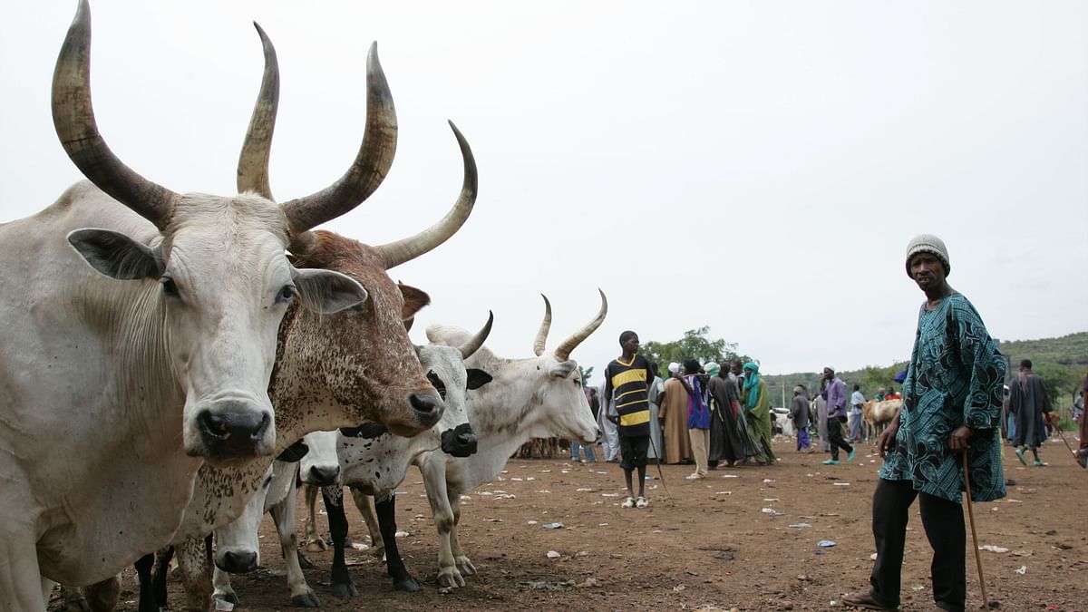 Why Nigeria’s Herder-Farmer Conflict Is Spiralling Out of Control