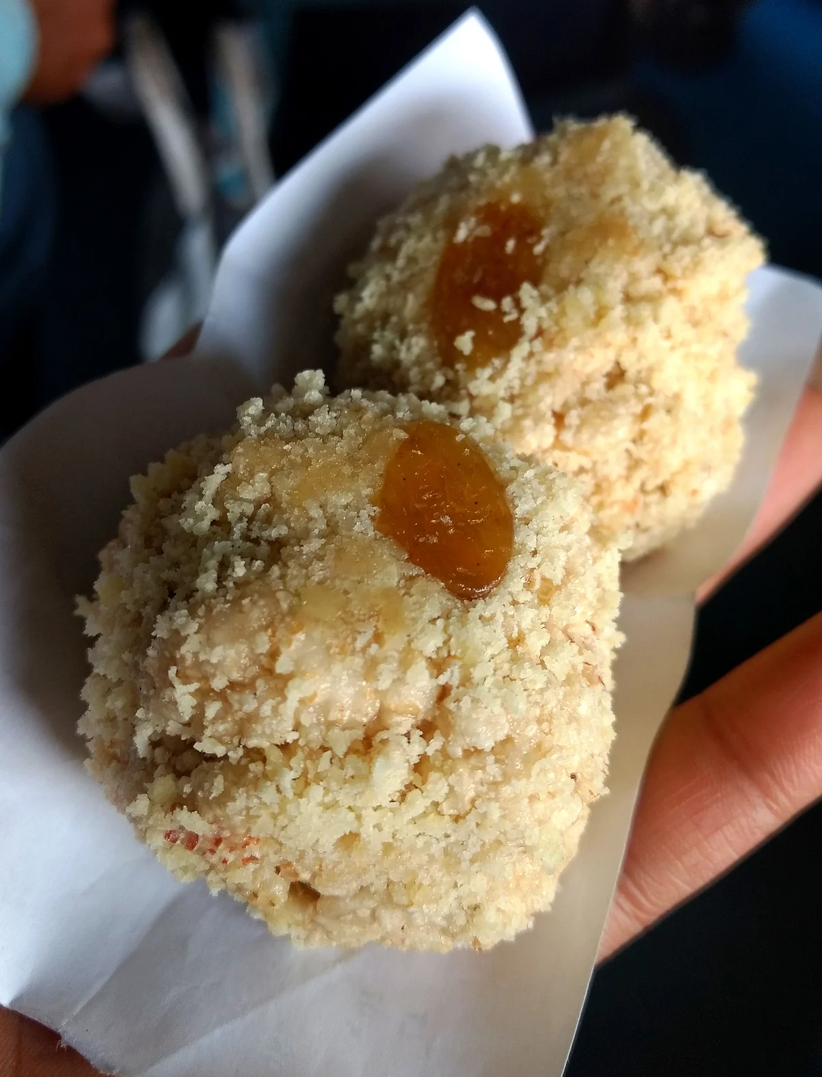 <i>Moa</i> from Jayanagar.