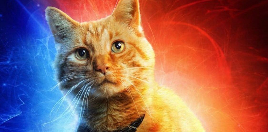 Meet Goose the Cat, Captain Marvel’s most popular character.