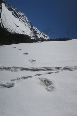 Indian Army team spots 'Yeti' footprints on Himalayas