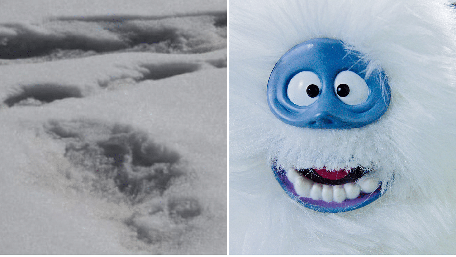 Indian Army’s claim about spotting the mythical creature Yeti had Twitter talking.