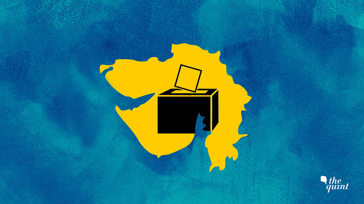 59 Registered, Unrecognised Parties Vie for Gujarat Lok Sabha Pie